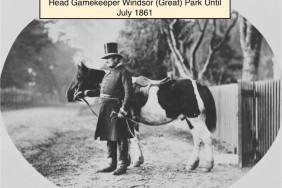 James Turner: Gamekeeper