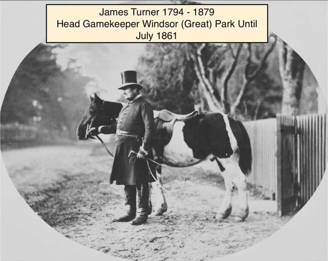 James Turner: Gamekeeper